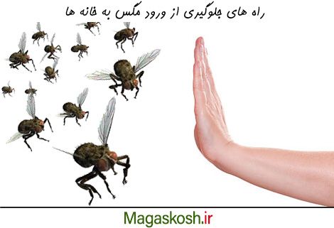 چگونگی جلوگیری از ورود مگس ها به خانه